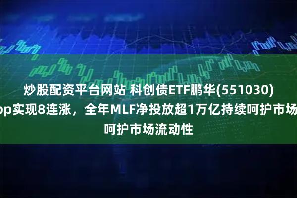 炒股配资平台网站 科创债ETF鹏华(551030)收涨6bp实现8连涨,全年MLF净投放超1万亿持续呵护市场流动性