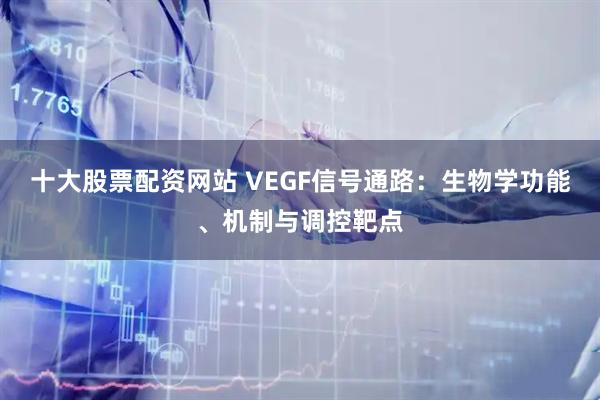 十大股票配资网站 VEGF信号通路：生物学功能、机制与调控靶点