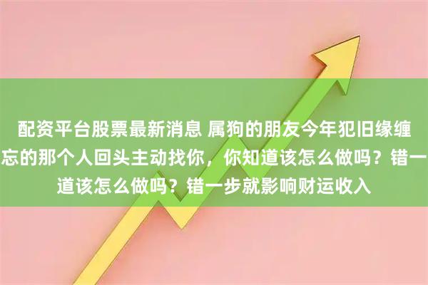 配资平台股票最新消息 属狗的朋友今年犯旧缘缠身!如果你念念不忘的那个人回头主动找你,你知道该怎么做吗?错一步就影响财运收入