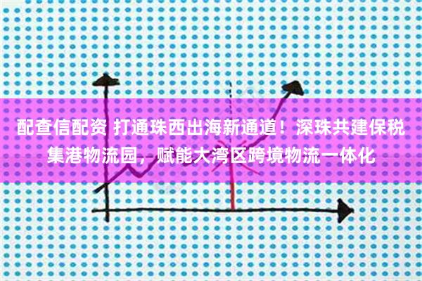配查信配资 打通珠西出海新通道！深珠共建保税集港物流园，赋能大湾区跨境物流一体化